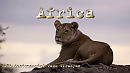 VaVi -  instrumental Vahe Virabyan  ...   Africa  ...