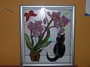 Орхидея и Кот:-)