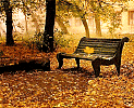 Осенняя грусть