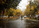 Мокрый день ноября (исполнение и музыка Сергея Арсланова, слова Елены Есауловой)