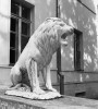 Статуя льва