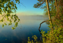 Туманное утро на озере Дремливое