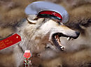 Волк ТТамбовский