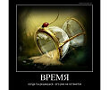 Как жаль, что время нам не удержать