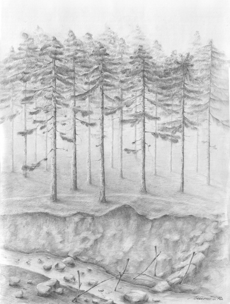 Лес карандашом легко. Пейзажи природы карандашом. Лесной пейзаж карандашом. Набросок леса. Рисунки карандашом природа.