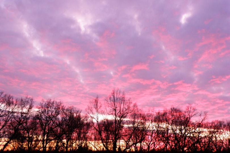Песни розовый закат далеко зашел. Останкинская розовый закат. Красивый розовый закат средняя полоса. Розовый закат во Владимире. В Краснодаре розовый закат.