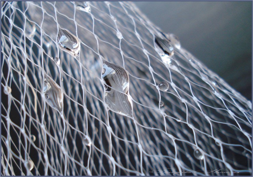 Извинить сеть. Рыболовная сеть в воде. Двухстенная сеть. Рыболовная сетка под водой. Перегородки рыбацкой сеткой.