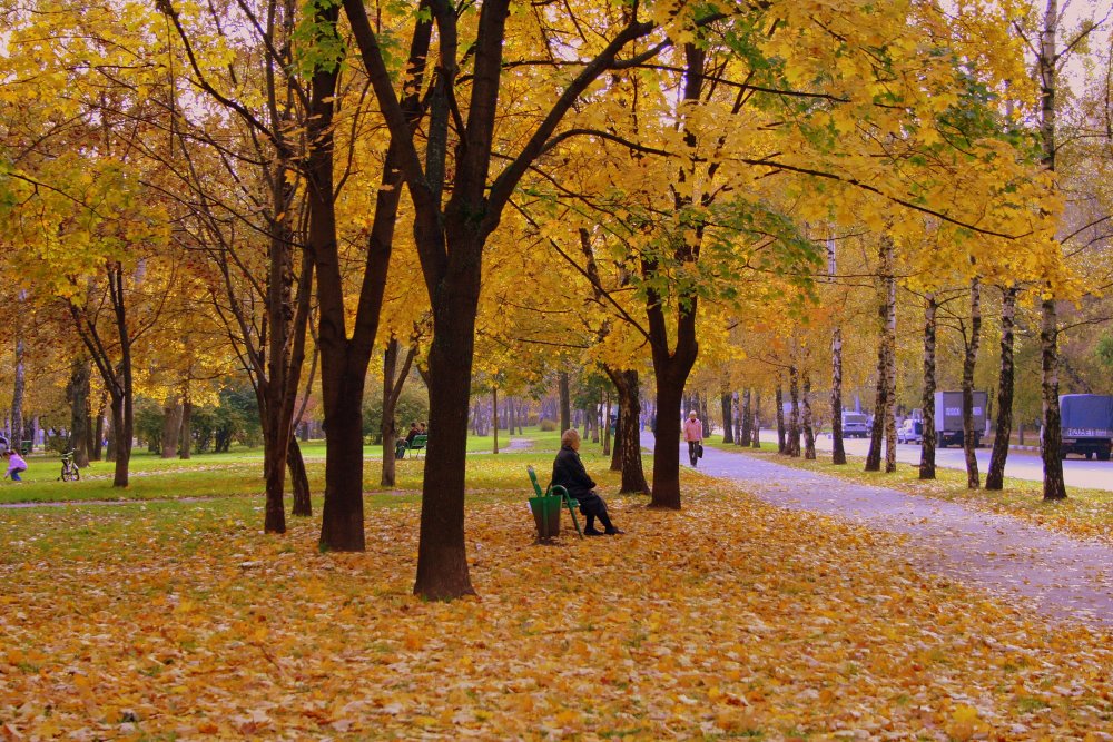 Осенний бульвар в москве