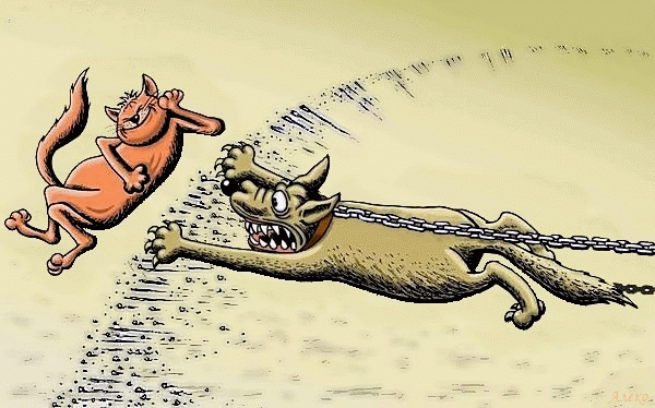 Юмористические иллюстрации. Карикатуры про котов. Шаржи на животных. Карикатура собака на цепи. Голодный ветер