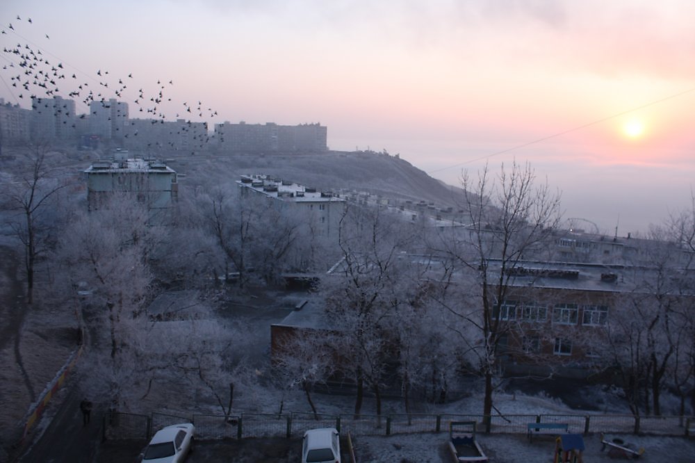 Бухта Тихая Владивосток Фотографии Japsea Клуб SHAMORA.info