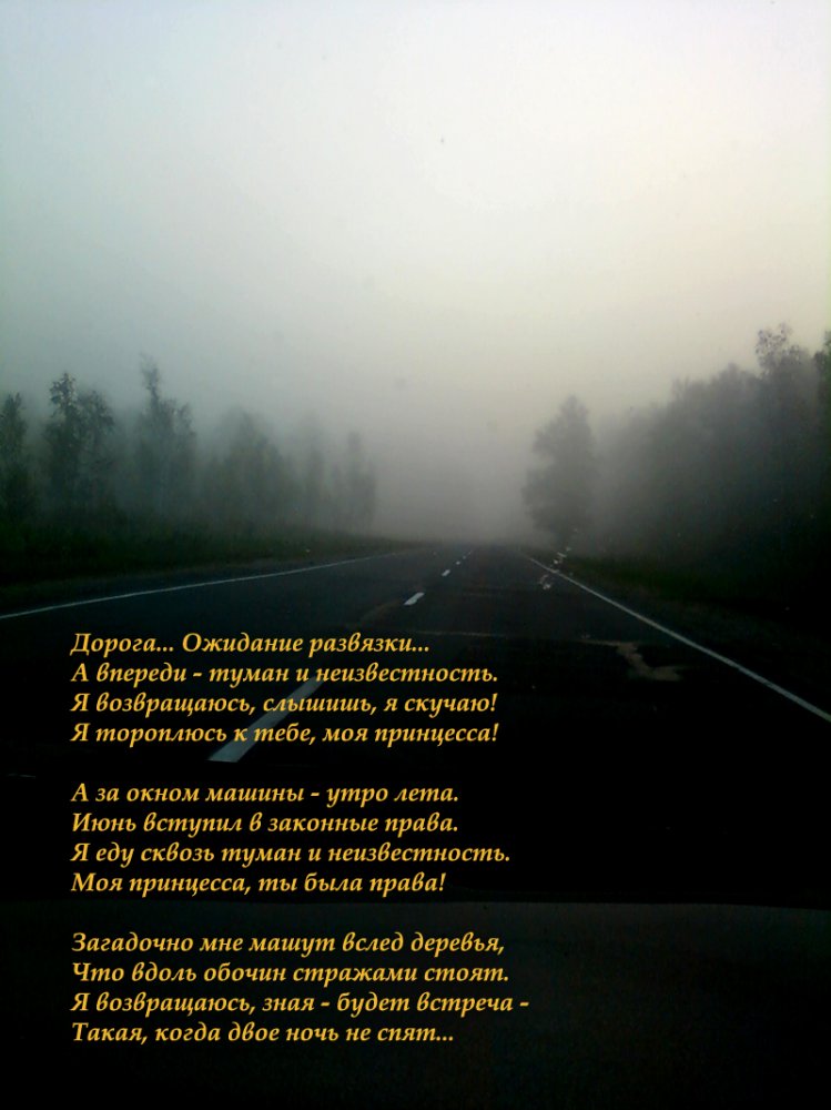 Сквозь туман стихотворение. Стихи про туман. Про туман высказывания. Цитаты про туман. Красивые фразы про туман.
