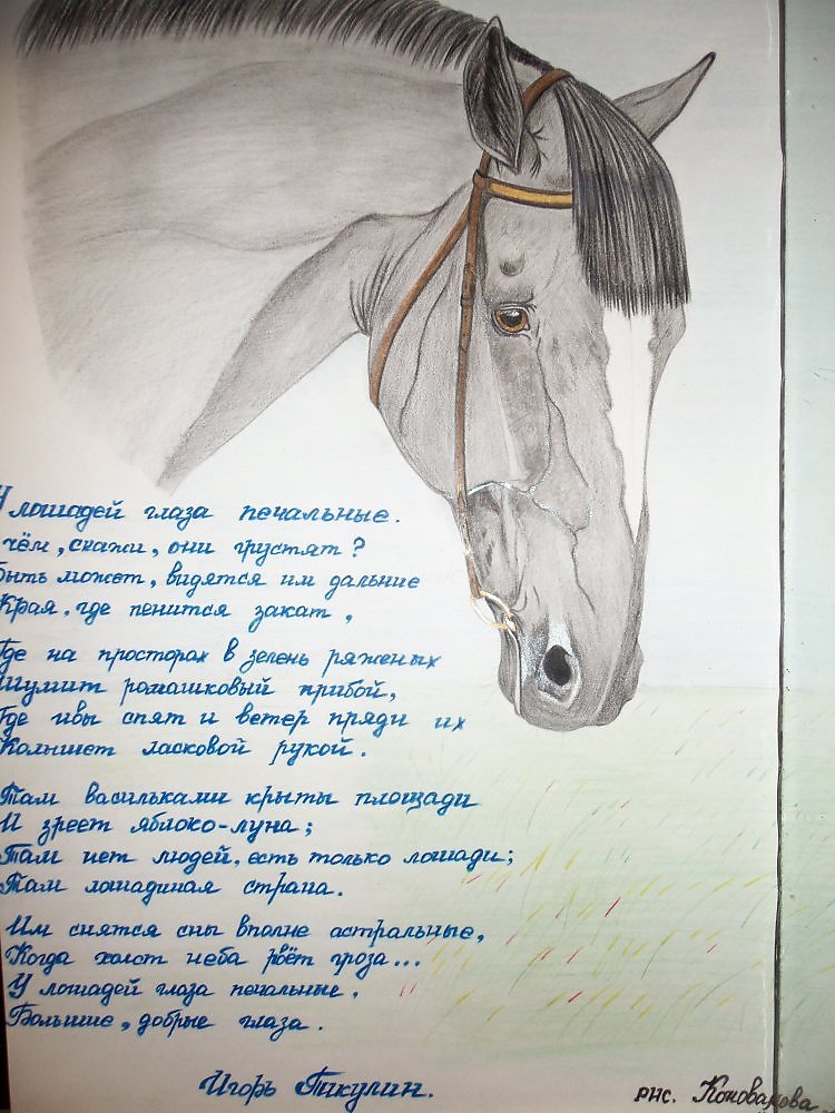 О чем плачут лошади стихотворение. Стихи про лошадей. Печальный конь стих. Стихотворение про лошадь. Стишок про лошадку грустный.