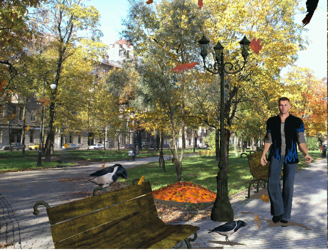 Листья Желтые Над Городом Фото Листья Желтые Над Городом Фото