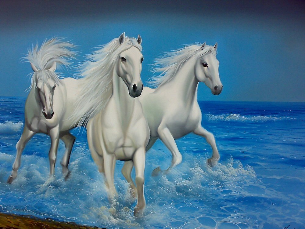 Лошади. Три лошади. Тройка белых лошадей. Лошадь на синем фоне.