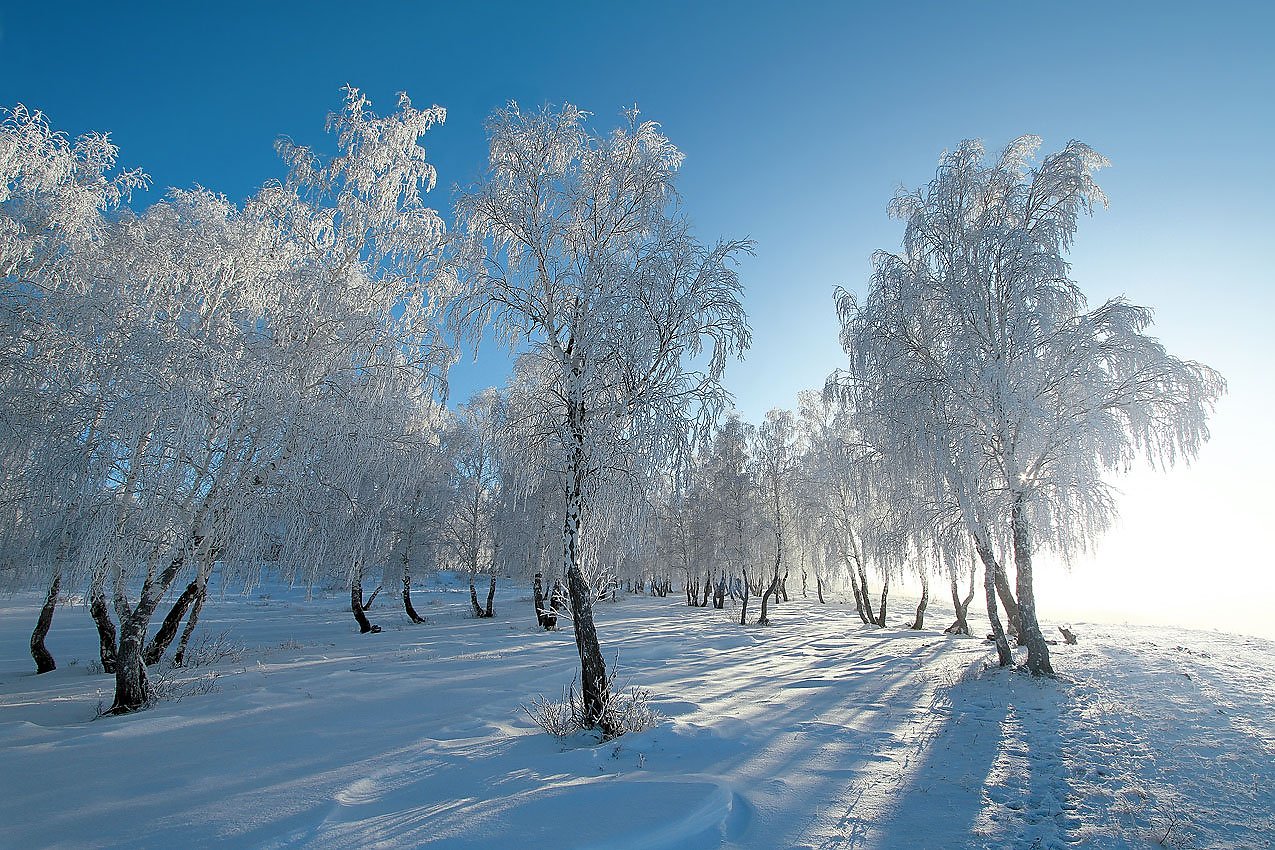 Родной край зимой. Природа Башкирии зима. Природа Башкортостана зимой. Зима в Башкирии. Зимний пейзаж Башкортостана.
