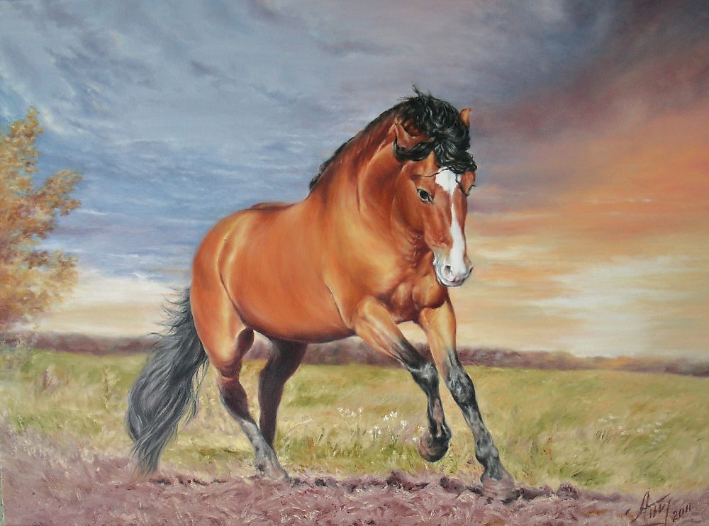 Альбом лошадки. Картина конь. Лошадь маслом на холсте. Большую картину лошадки. Альбом с лошадьми.