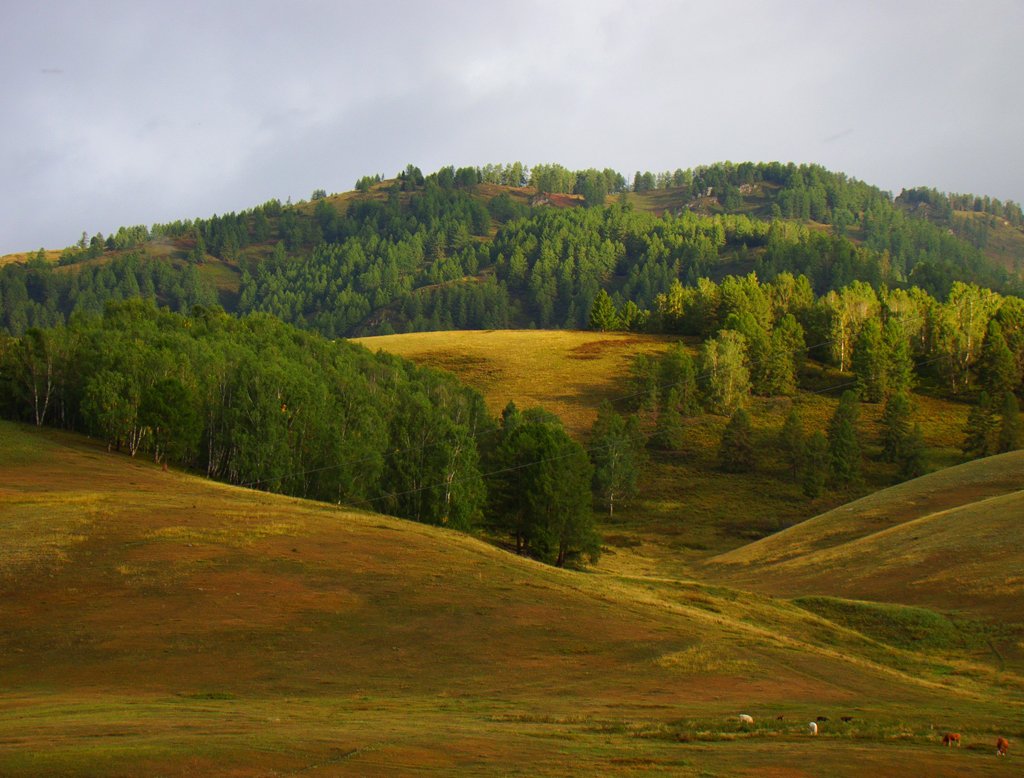 Верхнее фото Верхнее фото