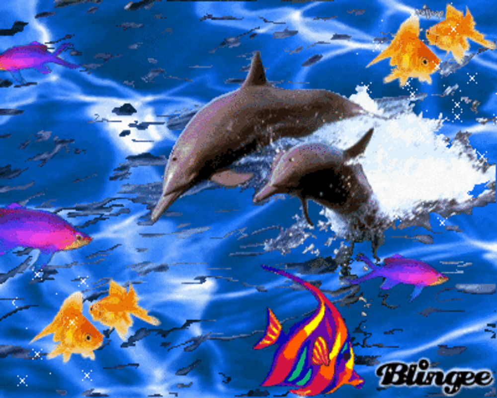Живое море на телефон. Живые дельфины. Морские обитатели gif. Подводный мир дельфины. Живые дельфины в море.