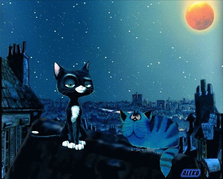 Котик ночью. Черный кот на крыше. Черная кошка на крыше. Ночная кошка.