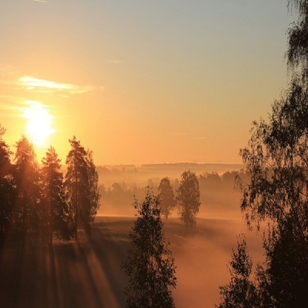Быстро на заре. Утренний пейзаж. Раннее утро рассвет. Утренняя Заря. Осенний рассвет.