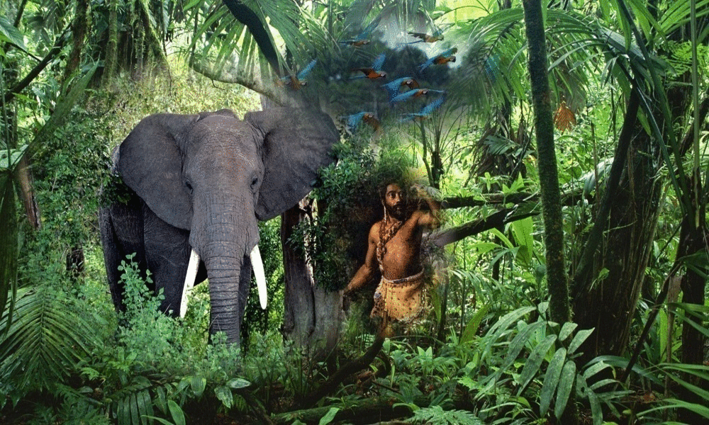 Король джунглей индийский