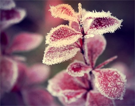 ВД-3 Этап 10.Часть 1