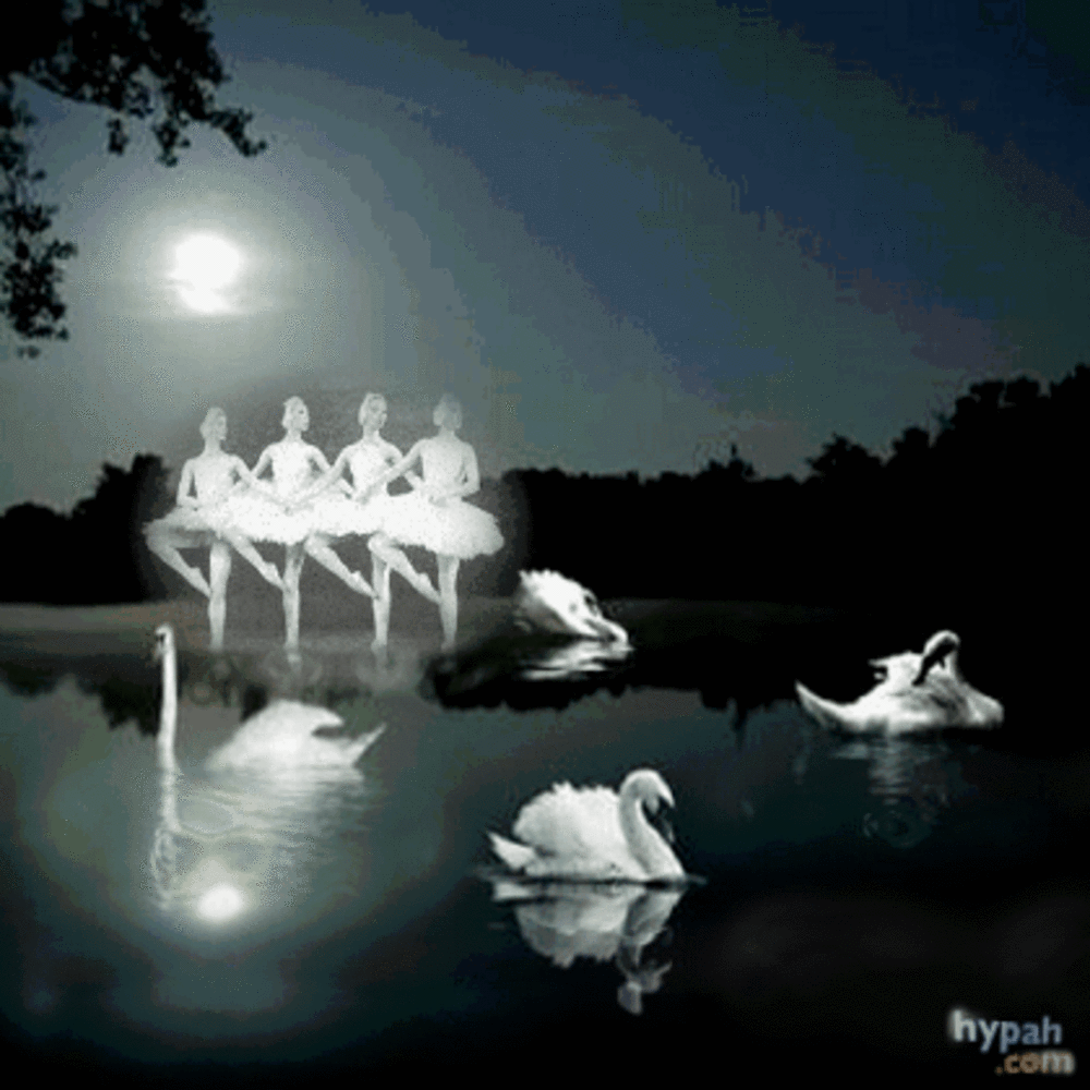 Чайковский маленькие лебеди. Балет Лебединое озеро. Лебединое озеро декорации. «Танец лебедей». Танцующие лебеди.