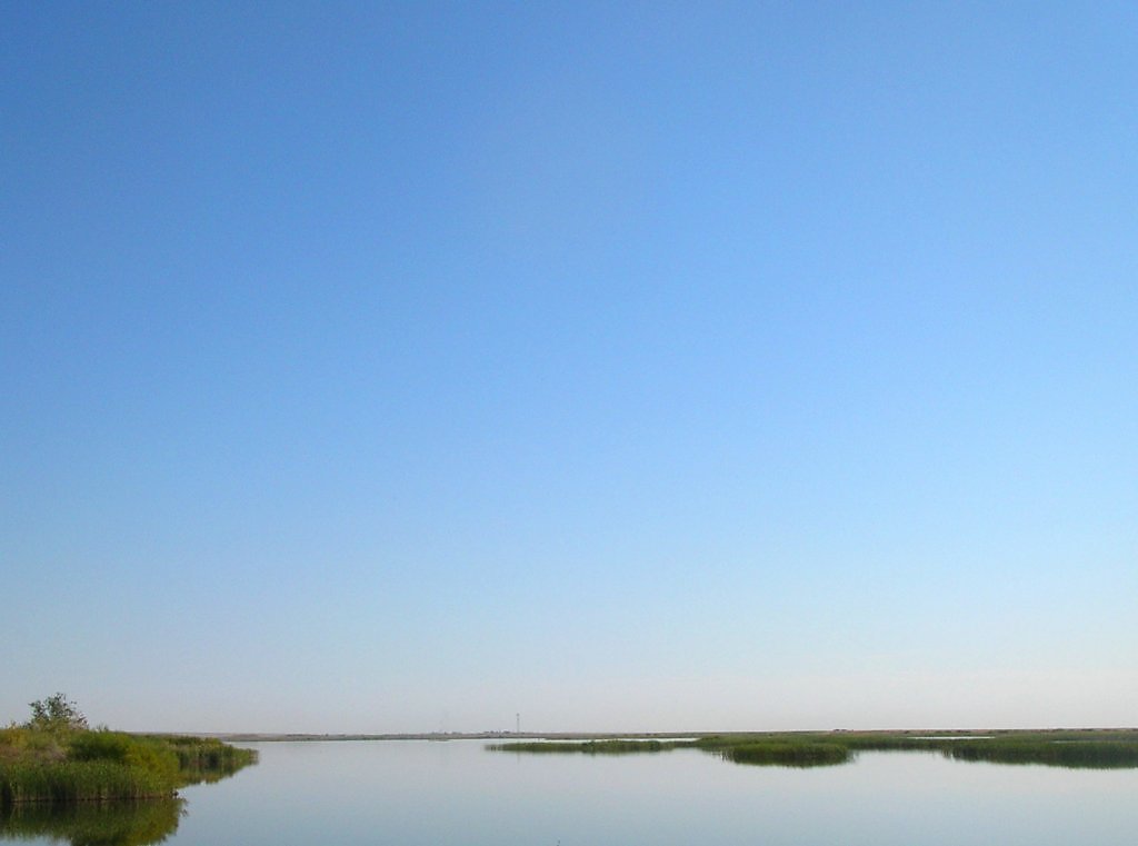 Степное озеро алтайский край