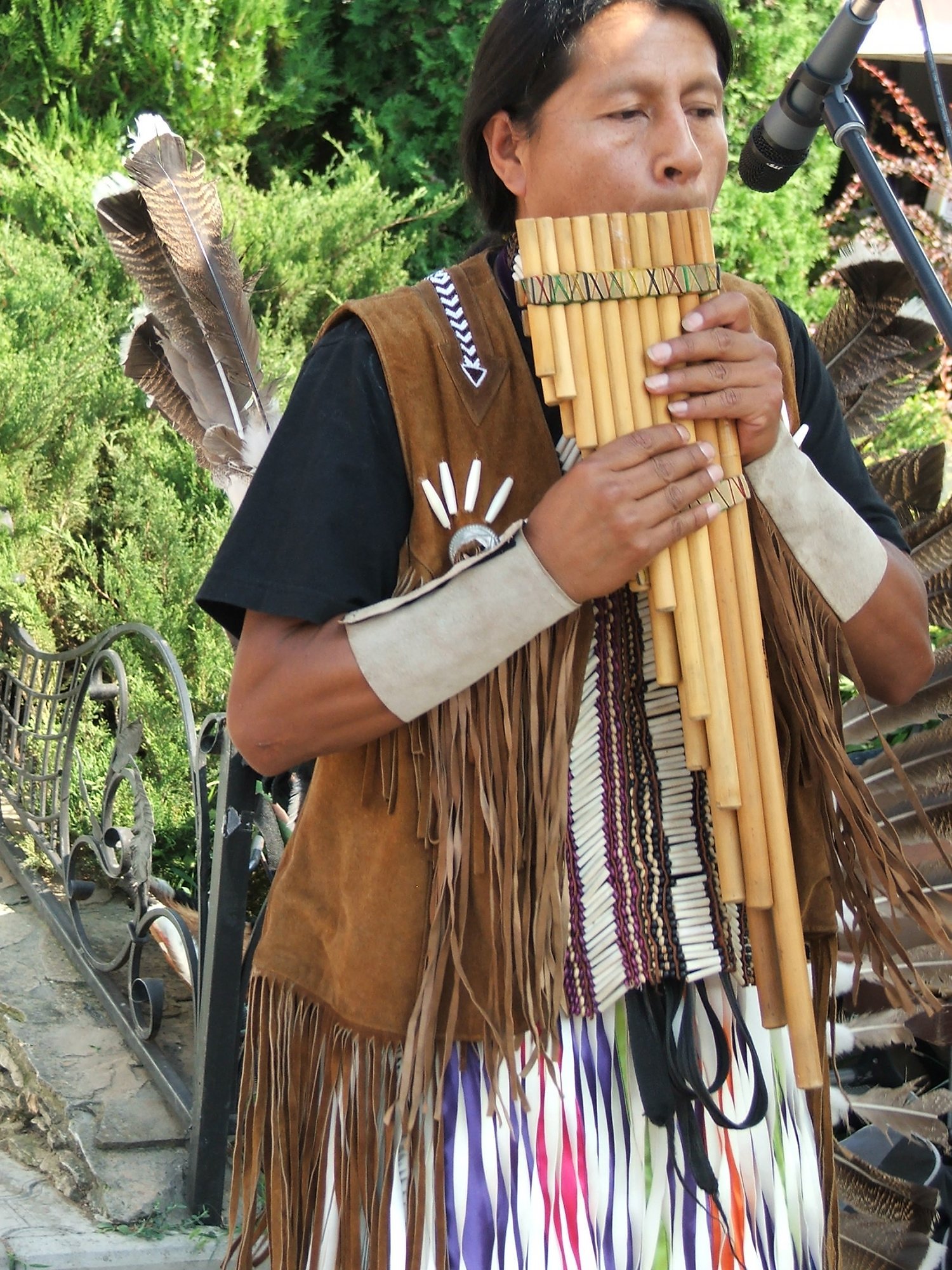 Индейская Флейта И Звуки Леса