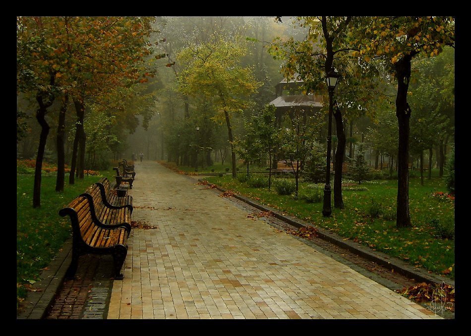 Парк пасмурно. Осенний дождливый парк. Осень в парке. Парк дождь. Осенний дождв парке.