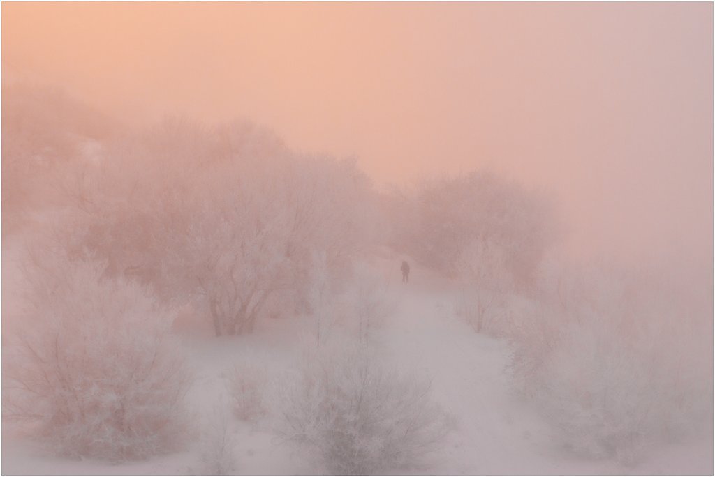 Розовый туман желтая. Розовый туман. Бежевато розоватый туман. Розовый туман явление природы. Саперы розовый туман.