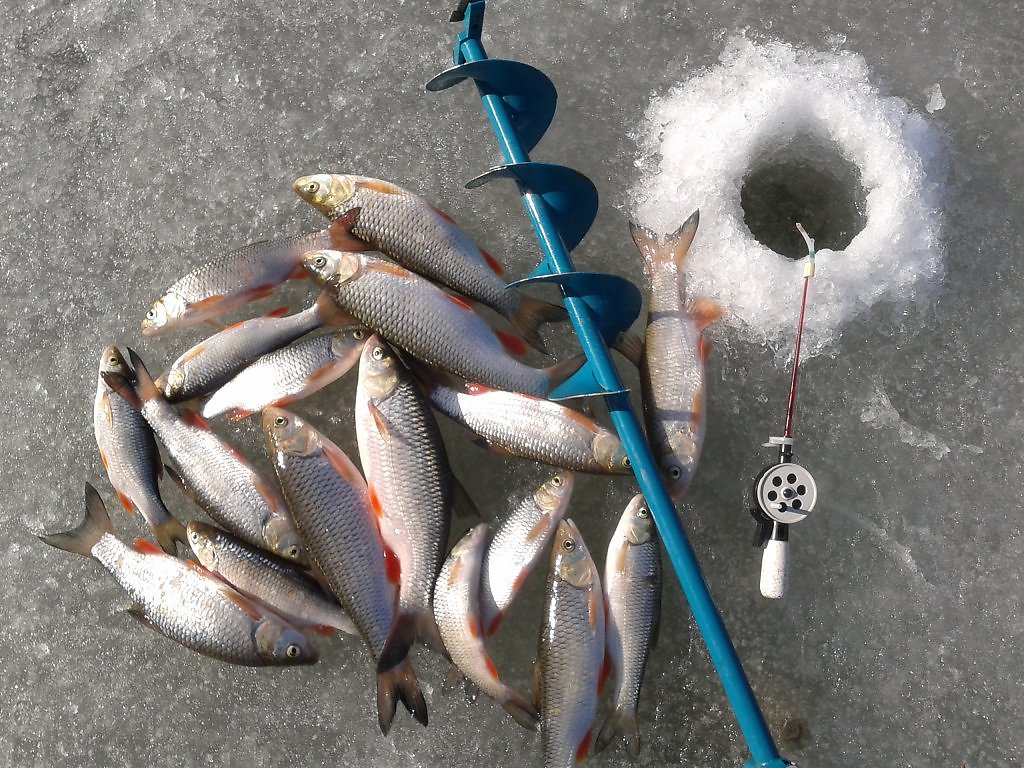Можно ли ловить рыбу в марте