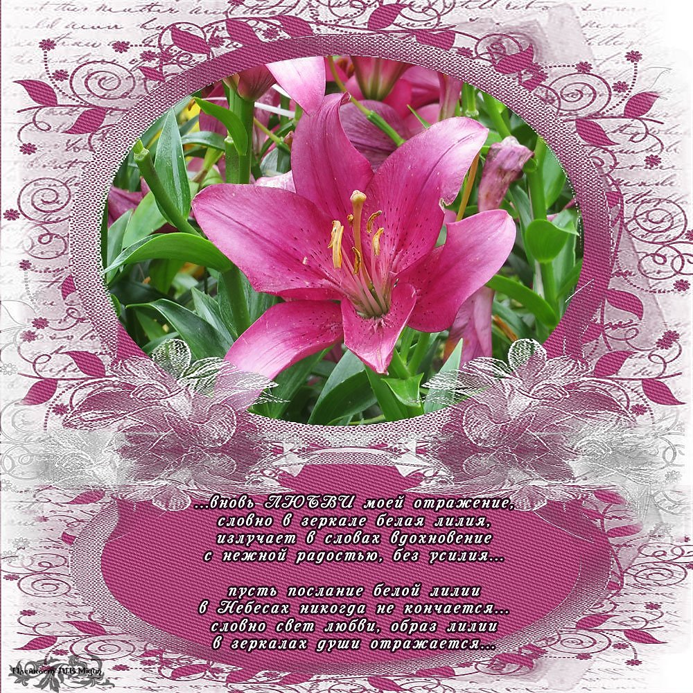 Пожелания с днем рождения женщине лилии. Поздравления с днём рождения лилии. С днём рождения Лилия открытки. Открытки с цветами лилии с днём рождения. Поздравления с юбилеем лилию.