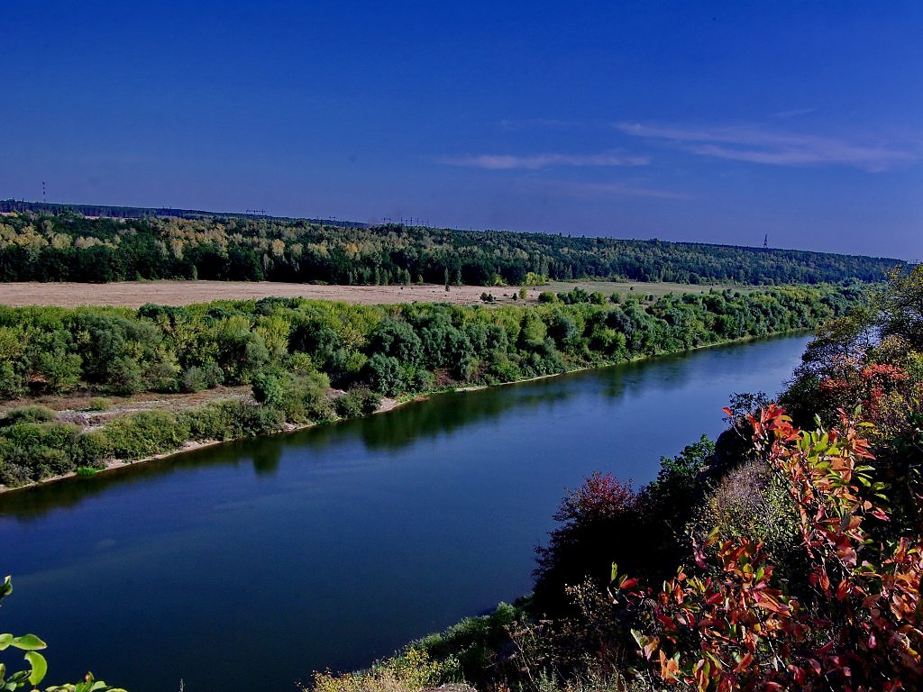Река дон липецкая область