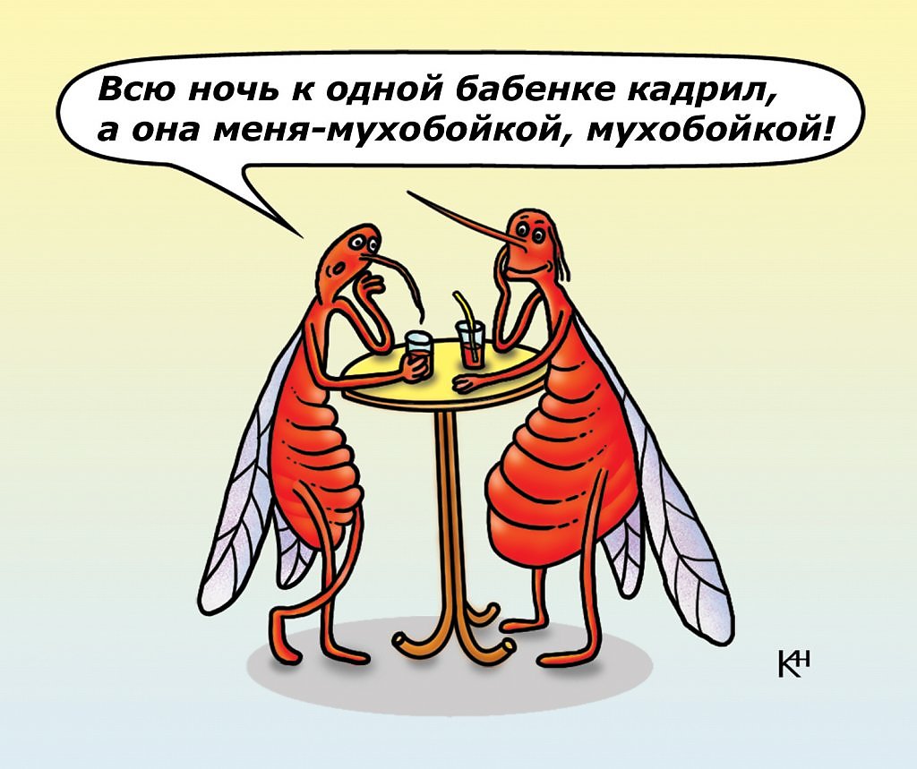 картинки про комаров