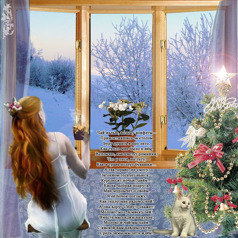 Мы так давно ждали это волшебное. Лето среди зимы. За окном новый день зимний. Зимние окно счастья. Открытка зима стучится в окна.