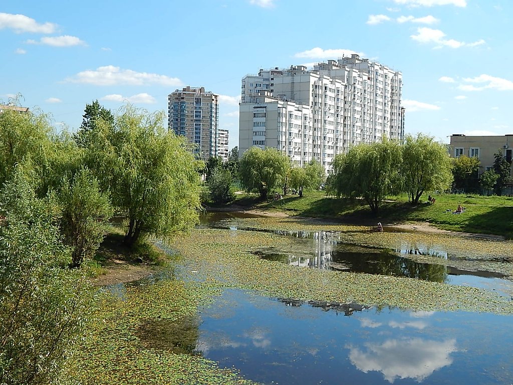 Район Гольяново Фото