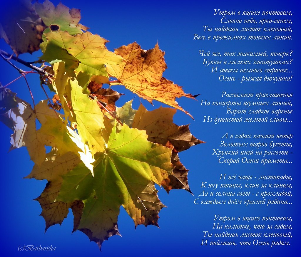 Песня лист зеленый лист резной. Стих листья. Стихи про осень. Осенние листочки стихотворение. Стихи про осенние листочки.