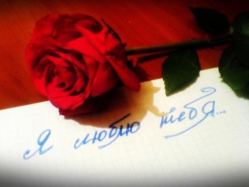 Я напишу я тебя больше люблю. Я тебя люблю. Фото со словом люблю. Розы с надписью я тебя люблю. Фотографии со словами я люблю тебя.