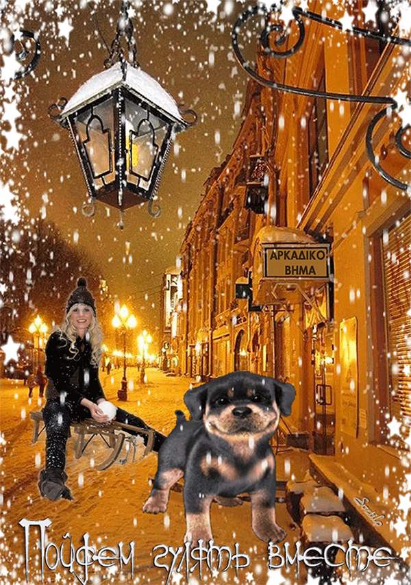 Прогулка с собакой зимой. Хорошей прогулки. Хорошей прогулки открытки. Добрый вечер зима.