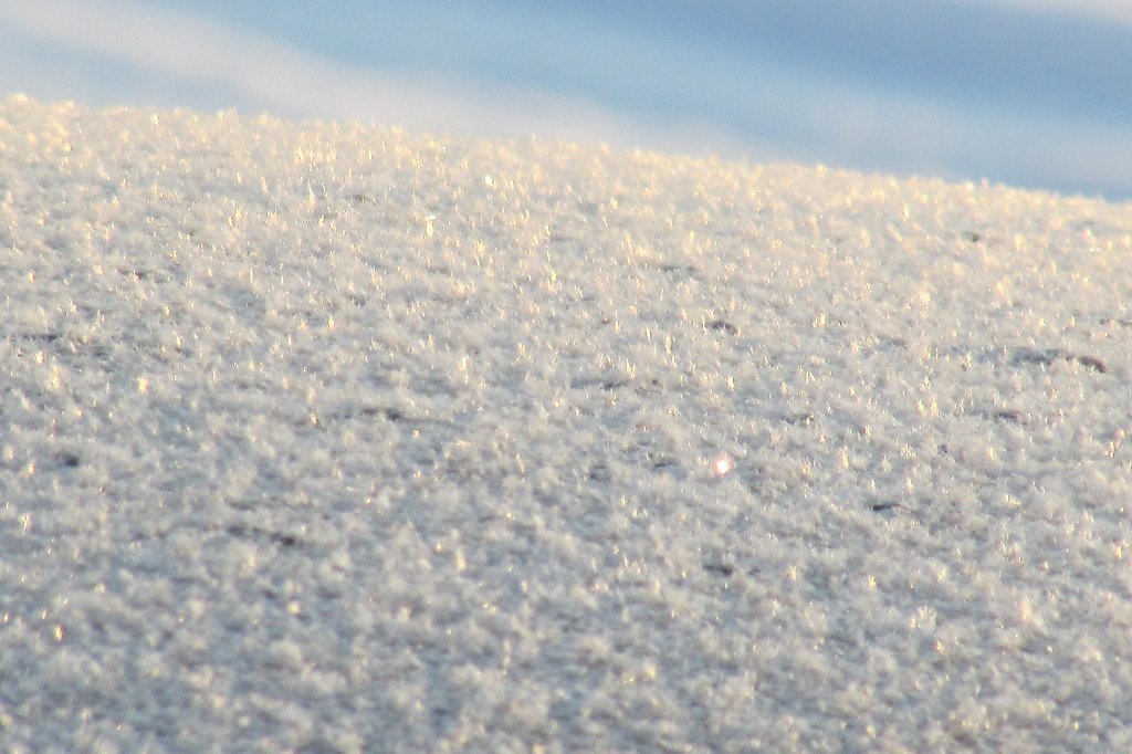 Снежный покров в подмосковье на сегодня. Снег на Покров. Снежный Покров фон. Снежный Покров фото. Колючий снежный Покров.