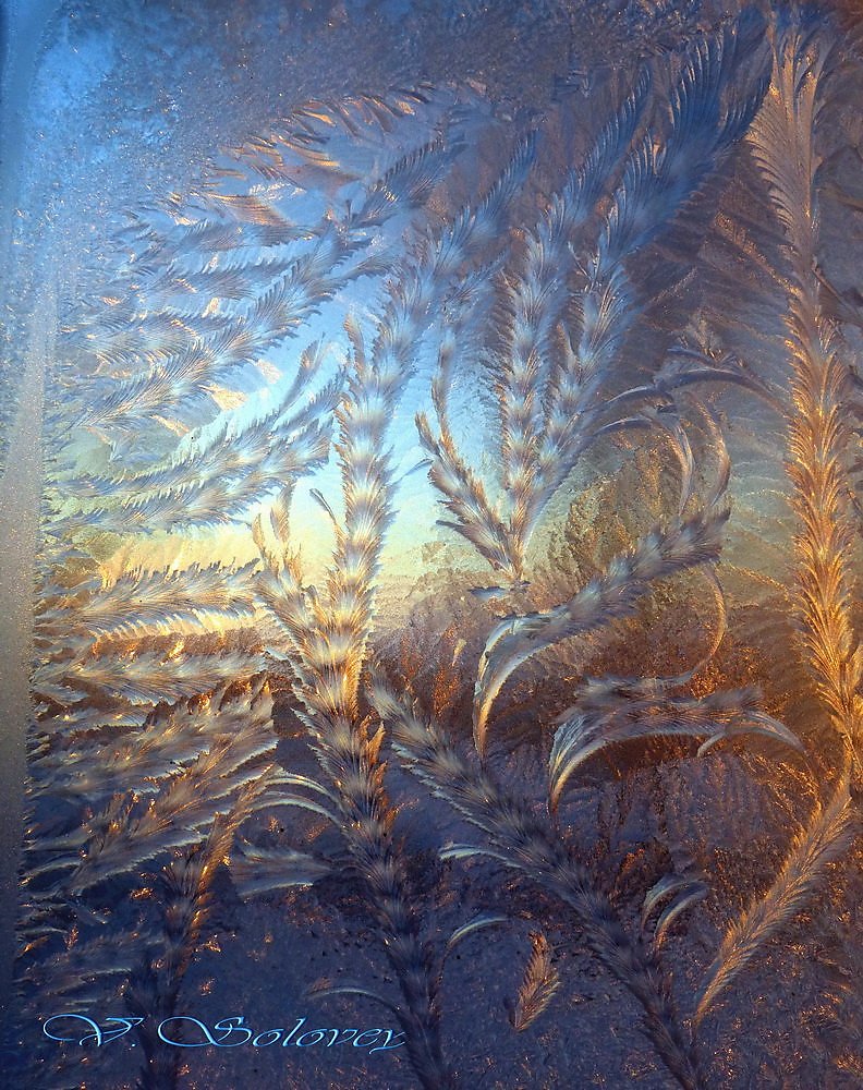 Мороз рисует на стекле узоры. Морозные узоры. Морозные узоры на окне. Морозное окно. Морозные узоры на стекле.