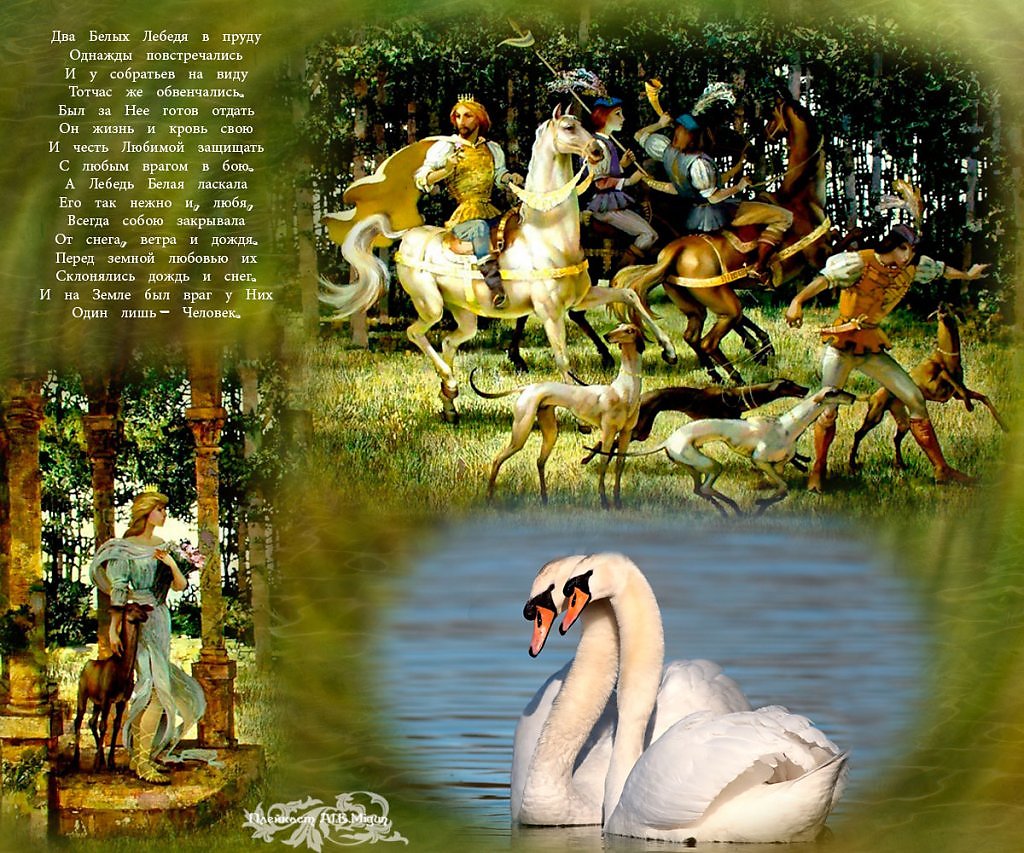 Песня белые лебеди автор. Легенда о лебедях. Красивые легенды о лебедях. Легенда о белой лебеди. Лебедь миф.
