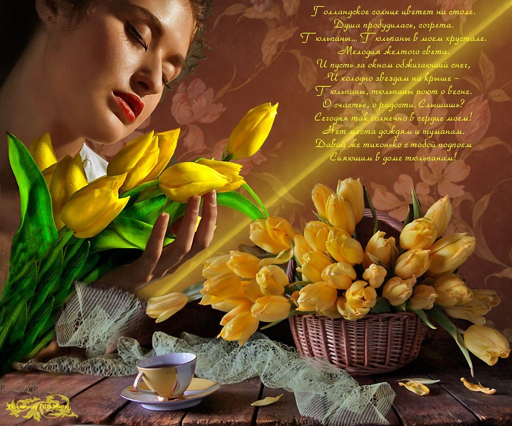 Стихи про тюльпаны и весну. Желтые тюльпаны. Открытка с желтыми тюльпанами. Желтые тюльпаны стихи красивые. Открытки желтые тюльпаны с днем рождения.