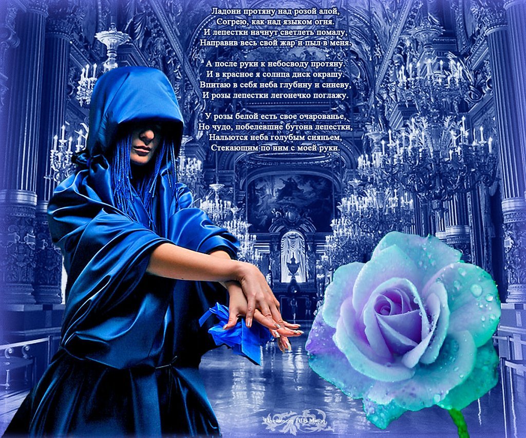 Красивые розы стихи. Стих про синие розы. Голубые розы стихи.