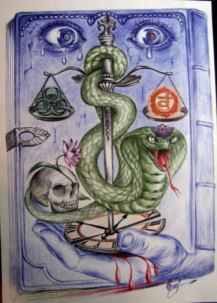 Змею не дам. Книги со змеями. Год змея. Змея с книгой. Медицинская змея с книжкой.