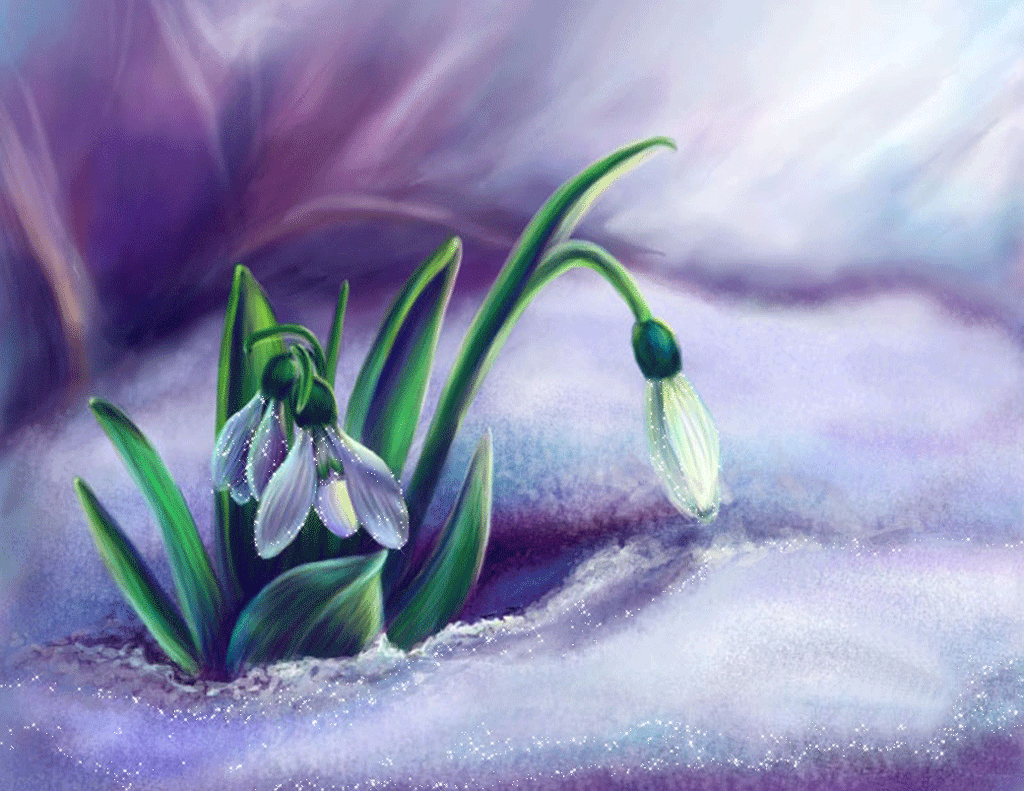 Картина с первым днем весны. Пролеска Крокус Галантус. Открытки с подснежниками. Картина подснежники.
