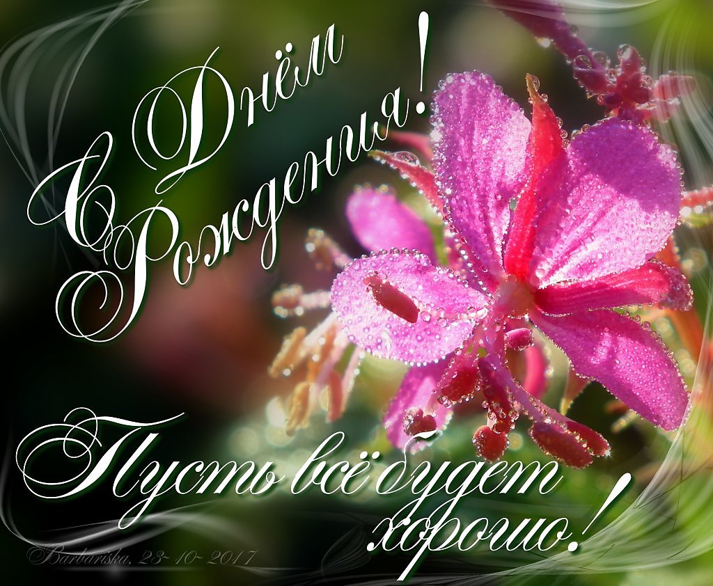 Имя зуля - Вопросы и ответы