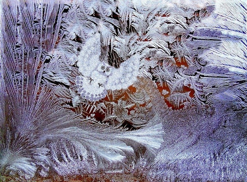 Мороз разрисовал. Зима Кудесница. Зима Кудесница картинки. Зимняя Кудесница рисунок. Зима Кудесница 1955.