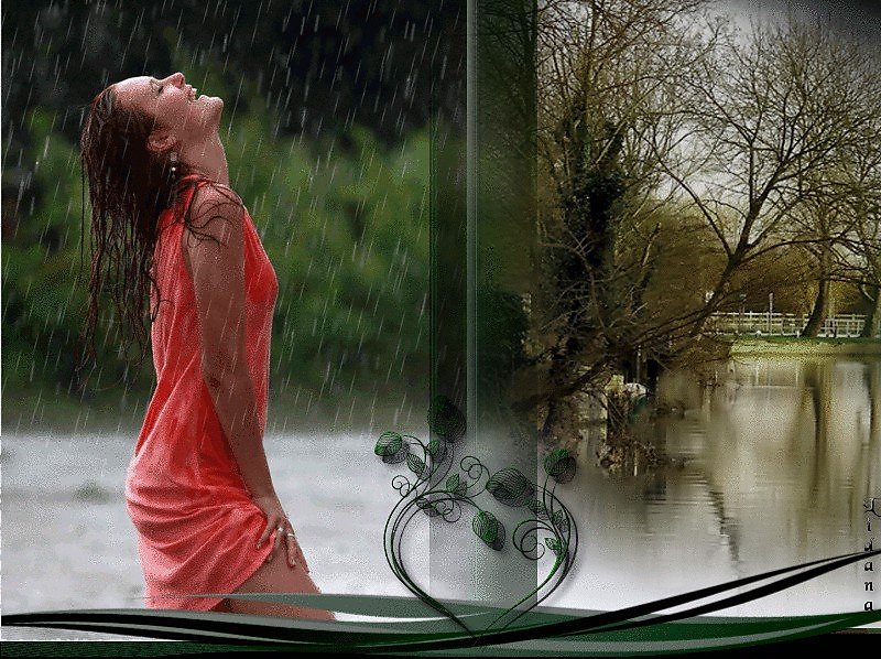 А за окном то дождь слушать. Природа оживает под дождем. Летний дождь. Лето дождь. Весенний дождь и девушка.